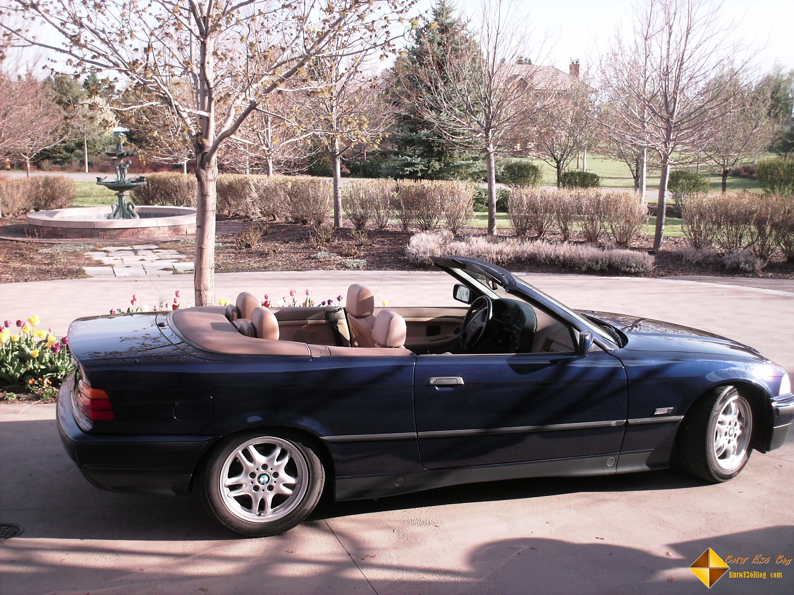 photos bmw e36 convertible photo shoot bmw e36 convertible photo shoot 07 