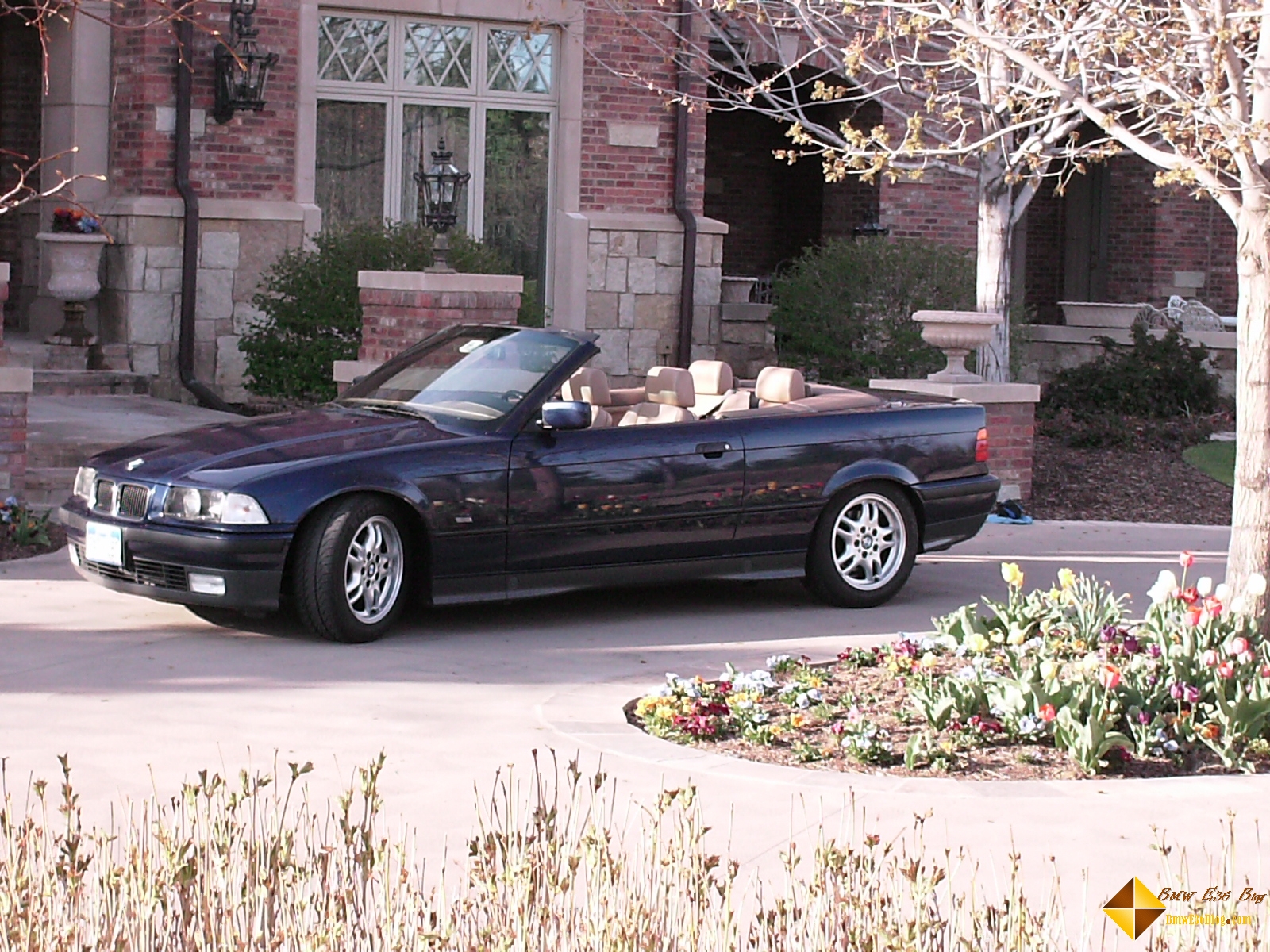 photos bmw e36 convertible photo shoot bmw e36 convertible photo shoot 08 